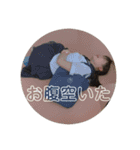 あめりあてゃスタンプ！（個別スタンプ：15）