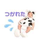 ねこと赤子（個別スタンプ：1）