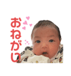 ねこと赤子（個別スタンプ：14）