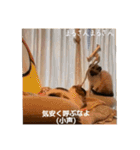 まるとかい！（個別スタンプ：17）