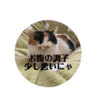 まるとかい！（個別スタンプ：18）