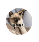 まるとかい！（個別スタンプ：22）