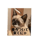 まるとかい！（個別スタンプ：29）