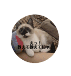 まるとかい！（個別スタンプ：31）