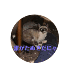 まるとかい！（個別スタンプ：35）