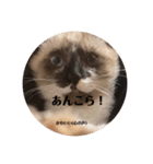 まるとかい！（個別スタンプ：36）