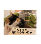 まるとかい！（個別スタンプ：40）