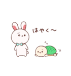 ウサギとカメ❁⃘（個別スタンプ：11）