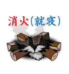 焚き火の気付き（個別スタンプ：7）