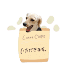 ♡ゆりあ様（個別スタンプ：4）
