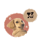 ♡ゆりあ様（個別スタンプ：7）