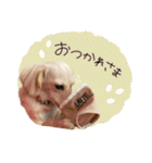 ♡ゆりあ様（個別スタンプ：10）