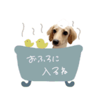 ♡ゆりあ様（個別スタンプ：11）