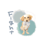 ♡ゆりあ様（個別スタンプ：19）