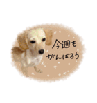 ♡ゆりあ様（個別スタンプ：23）