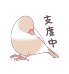 ふくふく文鳥 4（個別スタンプ：12）