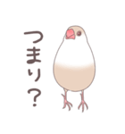 ふくふく文鳥 4（個別スタンプ：16）