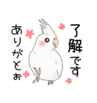 オカメインコ★パラダイス（個別スタンプ：9）