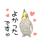 オカメインコ★パラダイス（個別スタンプ：17）