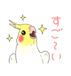 オカメインコ★パラダイス（個別スタンプ：18）