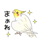 オカメインコ★パラダイス（個別スタンプ：22）