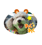 カワイイわんこ顔スタンプ（個別スタンプ：2）