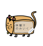 キューブ猫（個別スタンプ：1）