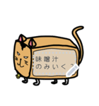 キューブ猫（個別スタンプ：7）