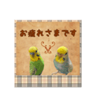 ホッとするインコ（個別スタンプ：6）