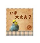 ホッとするインコ（個別スタンプ：8）