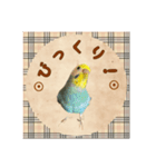 ホッとするインコ（個別スタンプ：14）