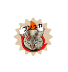 猫のテン子の日常スタンプ（個別スタンプ：9）