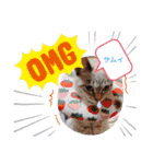猫のテン子の日常スタンプ（個別スタンプ：10）