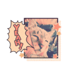 猫のテン子の日常スタンプ（個別スタンプ：11）