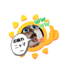 猫のテン子の日常スタンプ（個別スタンプ：12）