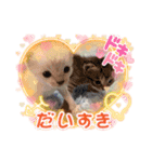 猫のテン子の日常スタンプ（個別スタンプ：16）