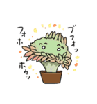 使いやすいのびのび多肉植物（個別スタンプ：30）