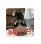 弥勒スタンプ①（個別スタンプ：1）