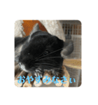 弥勒スタンプ①（個別スタンプ：5）