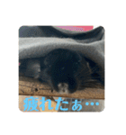 弥勒スタンプ①（個別スタンプ：8）