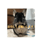 弥勒スタンプ①（個別スタンプ：9）