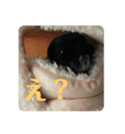 弥勒スタンプ①（個別スタンプ：16）