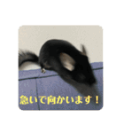 弥勒スタンプ①（個別スタンプ：17）