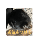 弥勒スタンプ①（個別スタンプ：20）