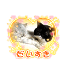 エキゾチック 大福（個別スタンプ：4）
