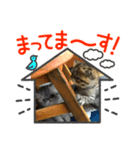 エキゾチック 大福（個別スタンプ：8）