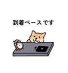 政府の犬（個別スタンプ：21）