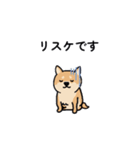 政府の犬（個別スタンプ：24）