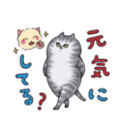 サバトラねこの毎日 5（個別スタンプ：3）