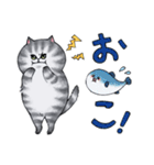 サバトラねこの毎日 5（個別スタンプ：8）